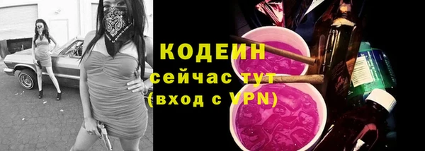 ГАЛЛЮЦИНОГЕННЫЕ ГРИБЫ Михайлов