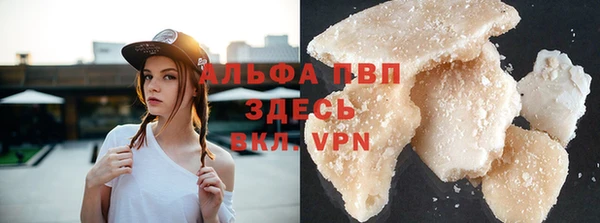 ГАЛЛЮЦИНОГЕННЫЕ ГРИБЫ Михайлов