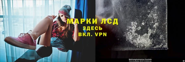 ГАЛЛЮЦИНОГЕННЫЕ ГРИБЫ Михайлов