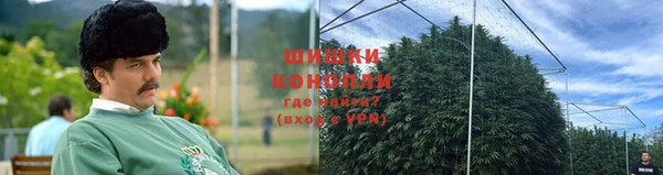 ГАЛЛЮЦИНОГЕННЫЕ ГРИБЫ Михайлов