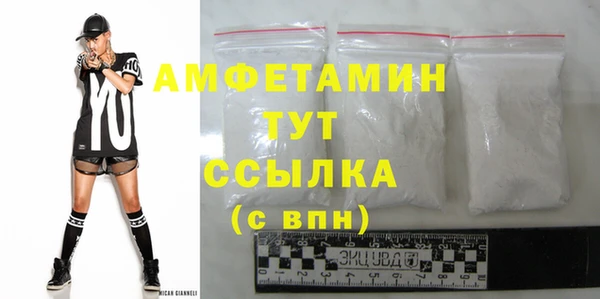 ГАЛЛЮЦИНОГЕННЫЕ ГРИБЫ Михайлов