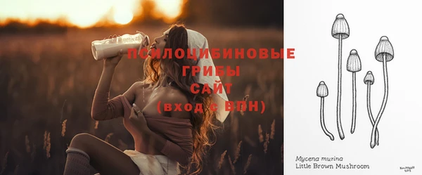 a pvp Михайловка