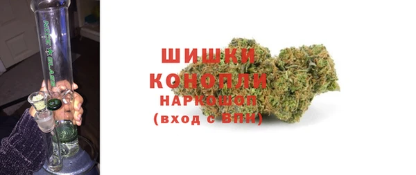 ГАЛЛЮЦИНОГЕННЫЕ ГРИБЫ Михайлов
