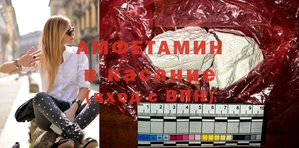 ГАЛЛЮЦИНОГЕННЫЕ ГРИБЫ Михайлов