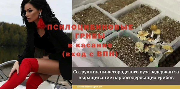 марихуана Михайловск