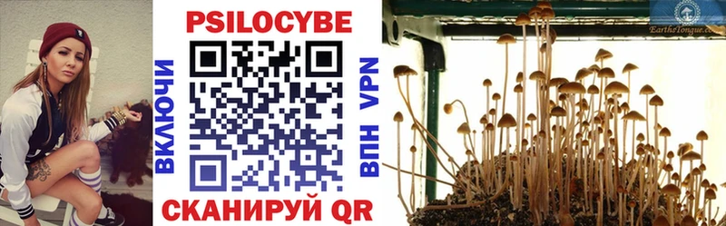 Купить где  Аксай  Галлюциногенные грибы GOLDEN TEACHER